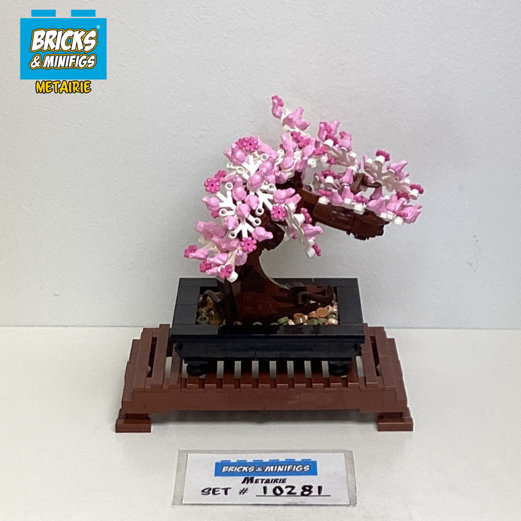 10281 Bonsai Tree