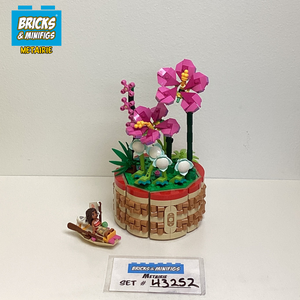 43252 Moana's Flowerpot (U)