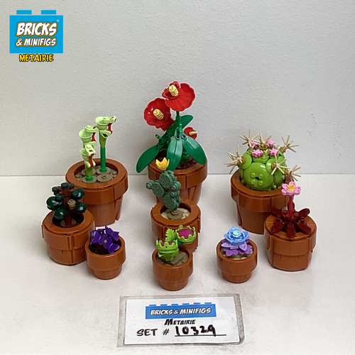 10329 Tiny Plants (U1)