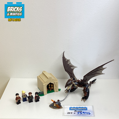 75946 Hungarian Horntail Triwizard Challenge (U)