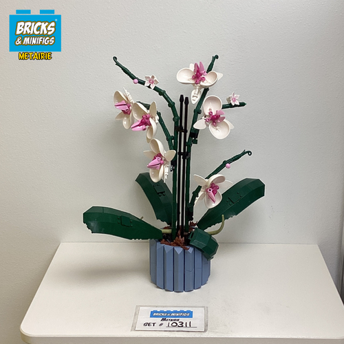 10311 Orchid (U)
