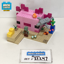 21247 The Axolotl House (U1)