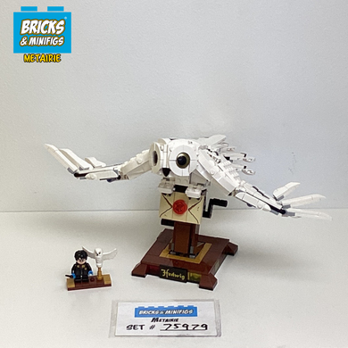 75979 Hedwig (U)