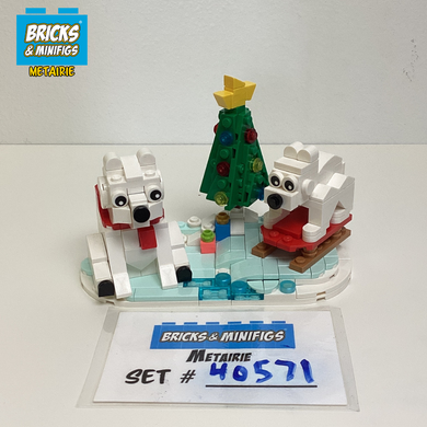 40571 Wintertime Polar Bears (U)