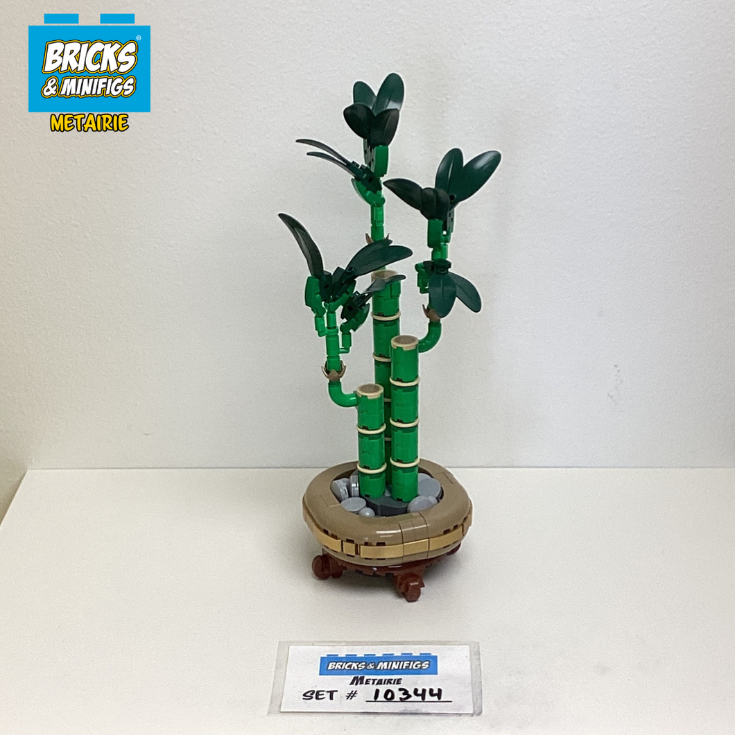 10344 Lucky Bamboo (U)