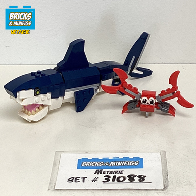31088 Deep Sea Creatures (U1)