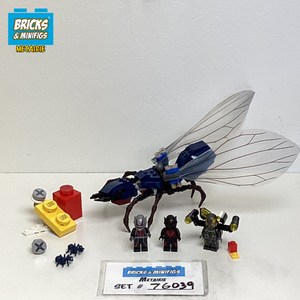 76039 Ant-Man Final Battle (U)