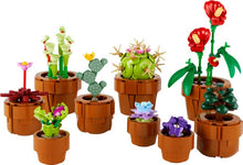 10329 Tiny Plants PRE-OWNED CERTIFIED