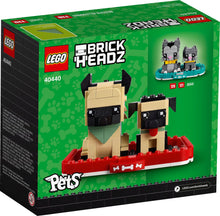 40440 German Shepherds