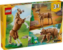 31166 Beautiful Horse