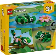 31377 Turtle with a Water Lily Flower
