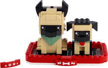40440 German Shepherds