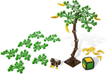 3853 Banana Balance PRE-OWNED CERTIFIED