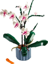 10311 Orchid PRE-OWNED CERTIFIED