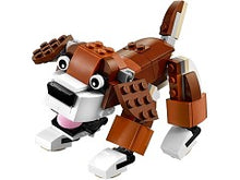 31044 Park Animals