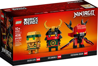40490 NINJAGO 10