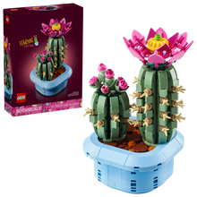 11509 Flowering Cactus