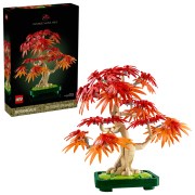10348 Japanese Maple