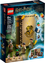 76384 LEGO Hogwart's Moment: Herbology Class