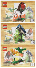 21301 Birds