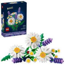 11508 Daisies
