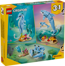 31385 Sea Animals: Beautiful Dolphins