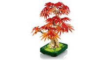 10348 Japanese Maple
