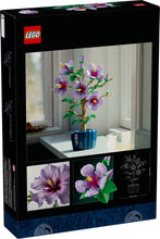 10372 Hibiscus