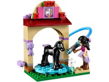 41123 Foal's Washing Station