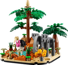 40784 African Savanna Diorama
