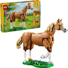 31166 Beautiful Horse PRE-OWNED CERTIFIED