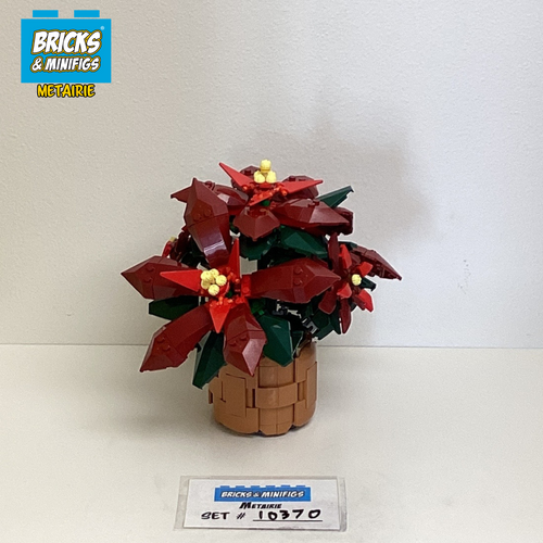 10370 Poinsettia (U)