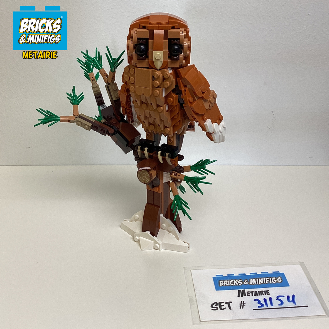 31154 Forest Animals: Owl (U1)