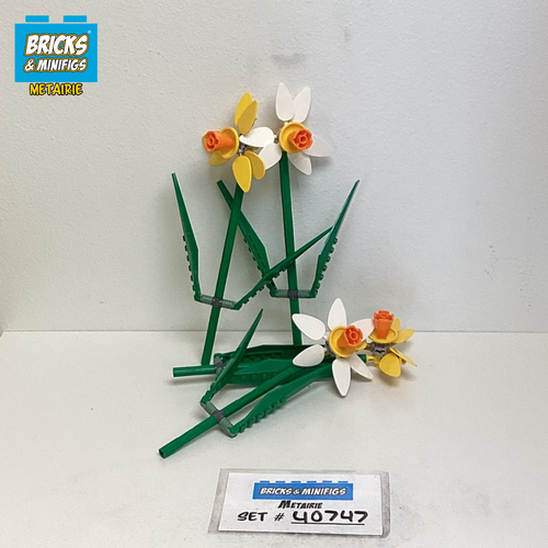 40747 Daffodils (U1)